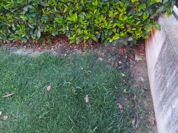 Stanco delle zanzare?